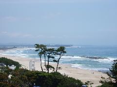 日立市・伊師浜海岸